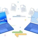 Share files on Windows 11