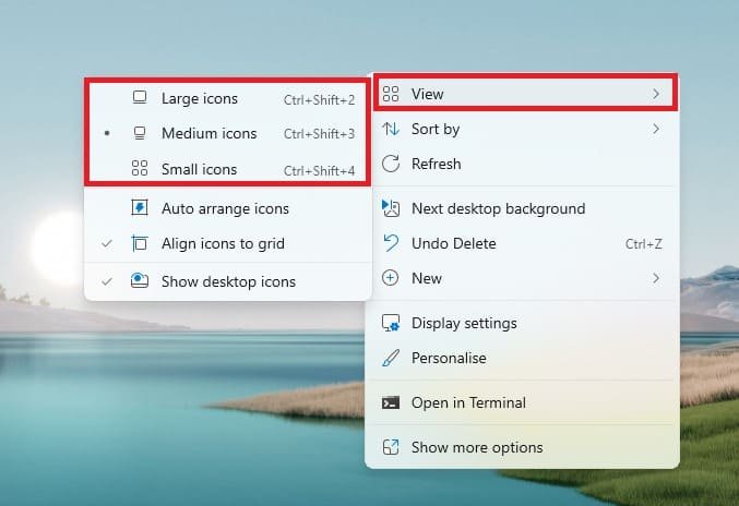 change the size of icons large mediuem and small