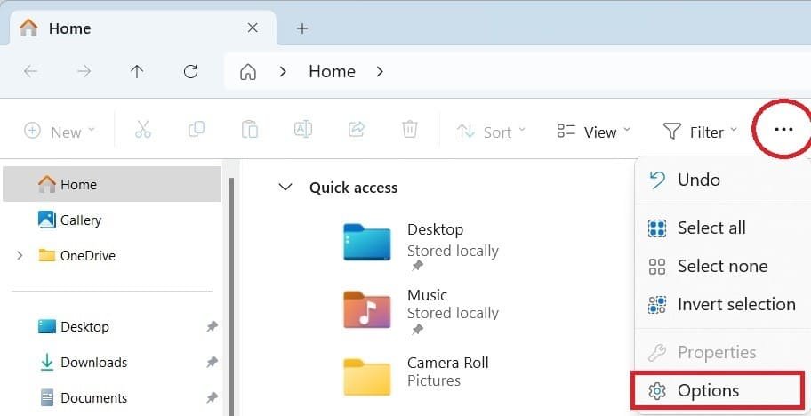 windows 11 options