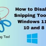 disable the snipping tool in Windows
